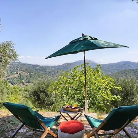 Sleeps 11 Pool Wifi Willa *